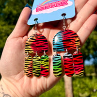 Image 2 of Rainbow Zebra Jollies 