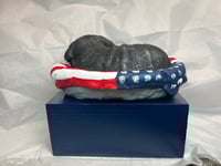 Image 2 of Custom Engraved Pug Pet Urn To Your Dog's Photo