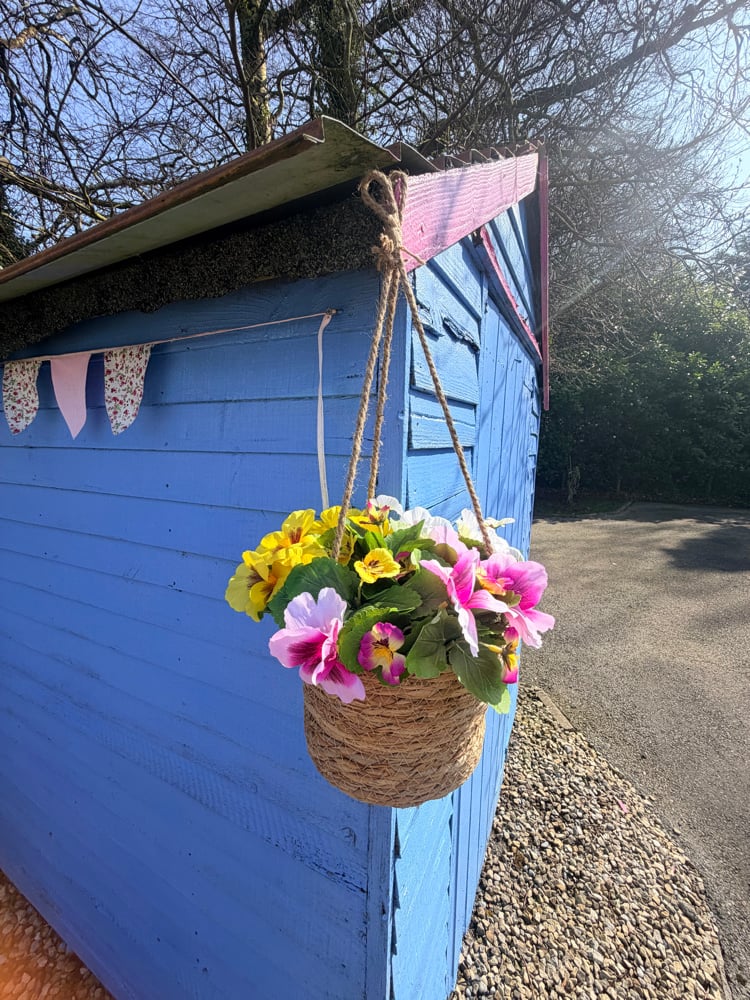 Image of 25cm Hanging Pansy Basket 