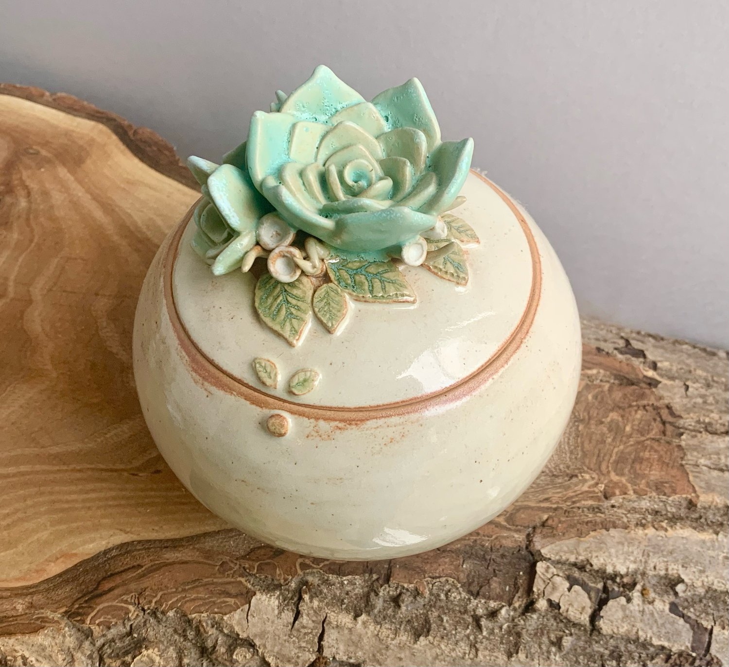 Image of Succulent Pot 