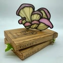 PRE-ORDER LISTING! Oyster Mushroom on Book