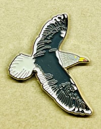 Image 2 of Slaty-backed Gull - No.78 - UK Birding Series