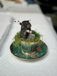 Taxidermy for Beginners Class - Weds 24th September 5.30- 9pm