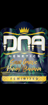 Image 1 of Sour Honey