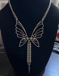 BUTTERFLY VERTEBRAE