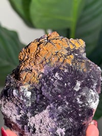 Image 4 of SUGARY IRIDESCENT DISCO BALL FLUORITE -CHINA-