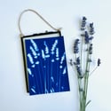 Lavender - Mini Framed Cyanotype