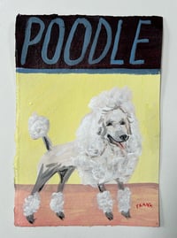 Poodle