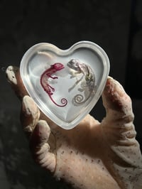 Image 2 of Diaphonized and fixed chameleons in resin hearts 