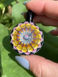 Image 2 of trillion sunrays