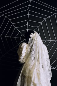 Image 5 of 1980s English Rose