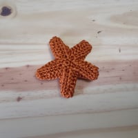 Image 2 of Starfish 
