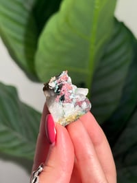 Image 2 of COPPER X MALACHITE STAINED QUARTZ -MOROCCO- F