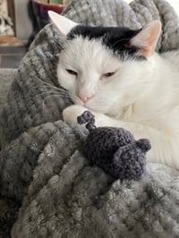 Image 1 of Snoop's Toys for Cats