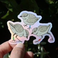 Image 1 of Piping Plover Chicks Holo 3” Sticker