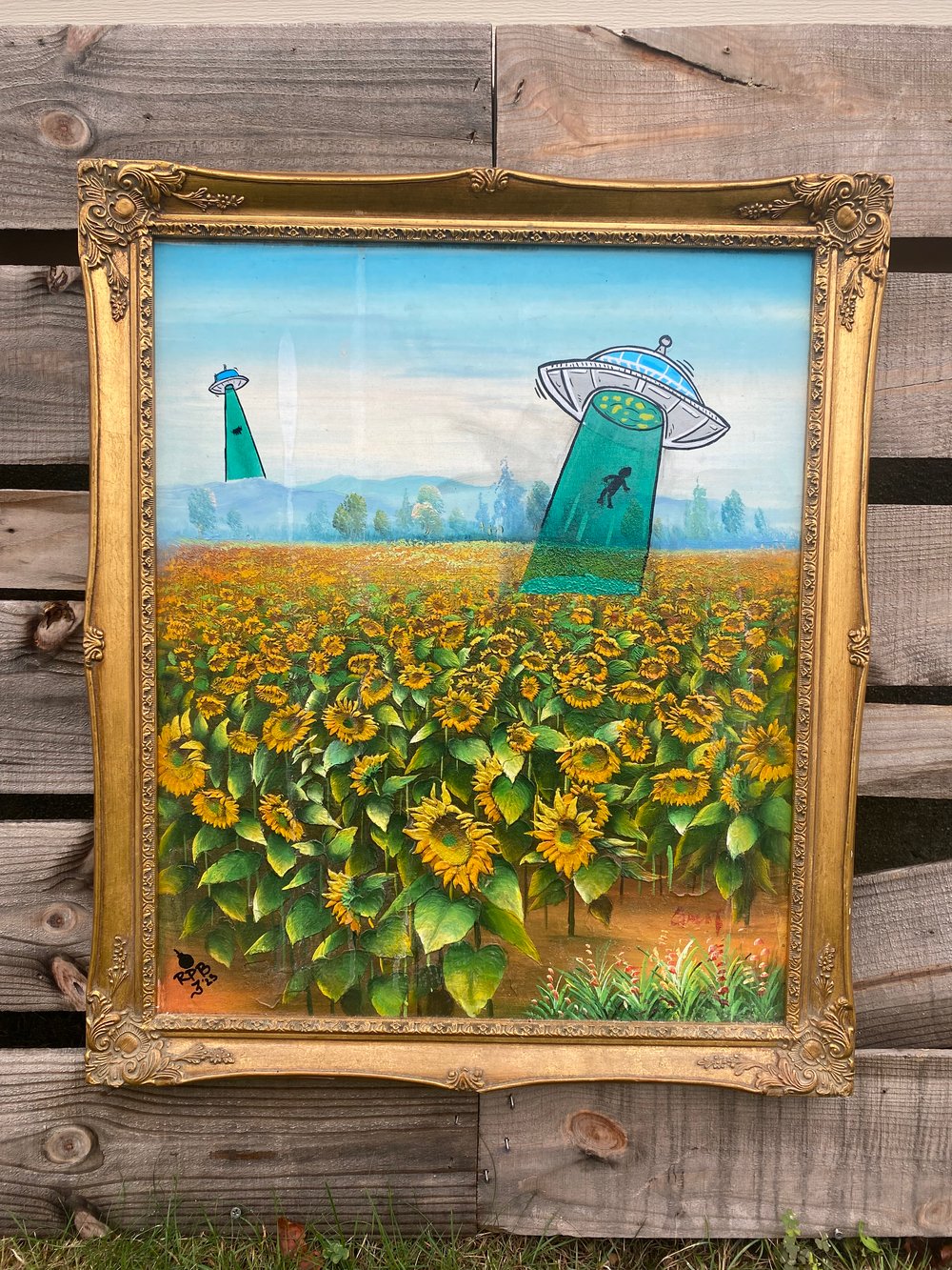 Sunflower Abduction