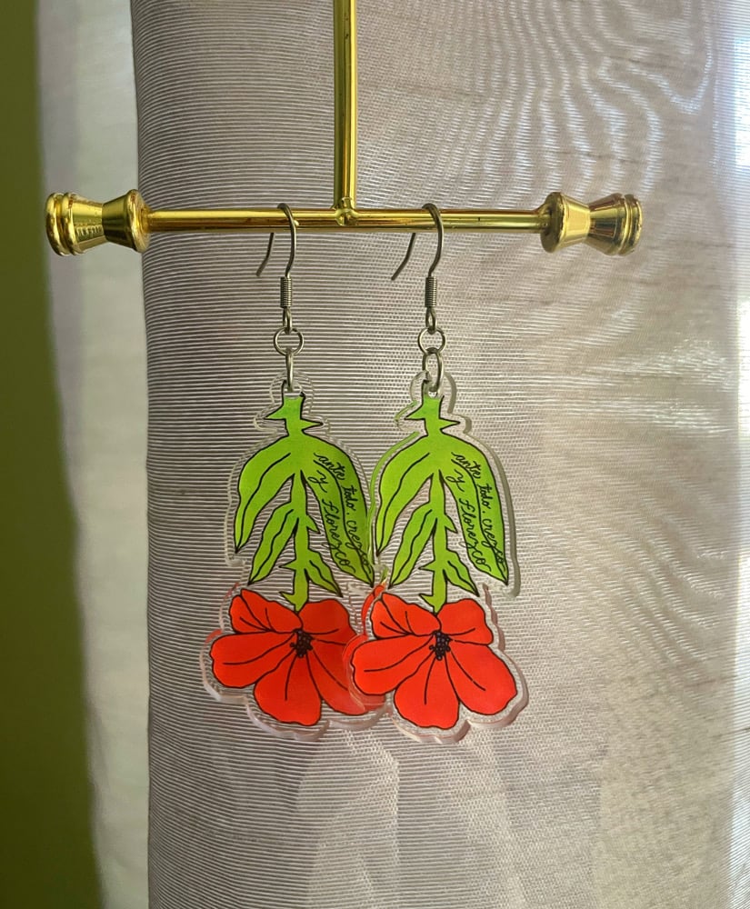 Image of Florezco earrings