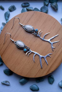 Image 5 of Elk Ivory & Turquoise Antler Earrings 