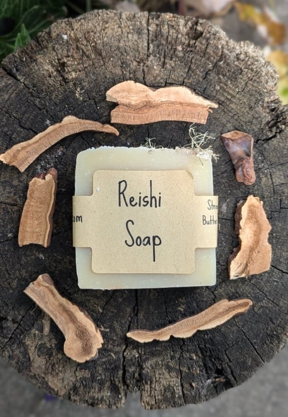 Image of Reishi Soap
