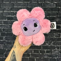 PEANUT- Primrose