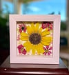 Sunflower, Stock Flower, Cone Flower, Cosmo & Hydrangea - In 6" X 6" Shadow Box (Item# 202311S)