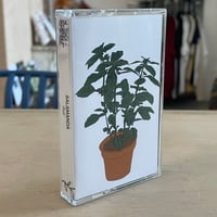 Salamanda - Music To Watch Seeds Grow By