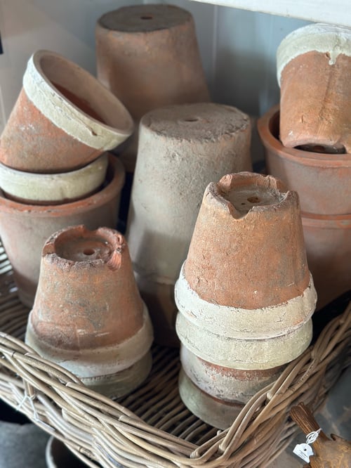 Image of Terracotta Mossy Pot