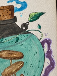 Image 3 of Pote 3/4 - Pote dos cogumelos