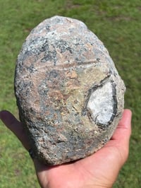 Image 7 of Agate Geode | Brazil #2891