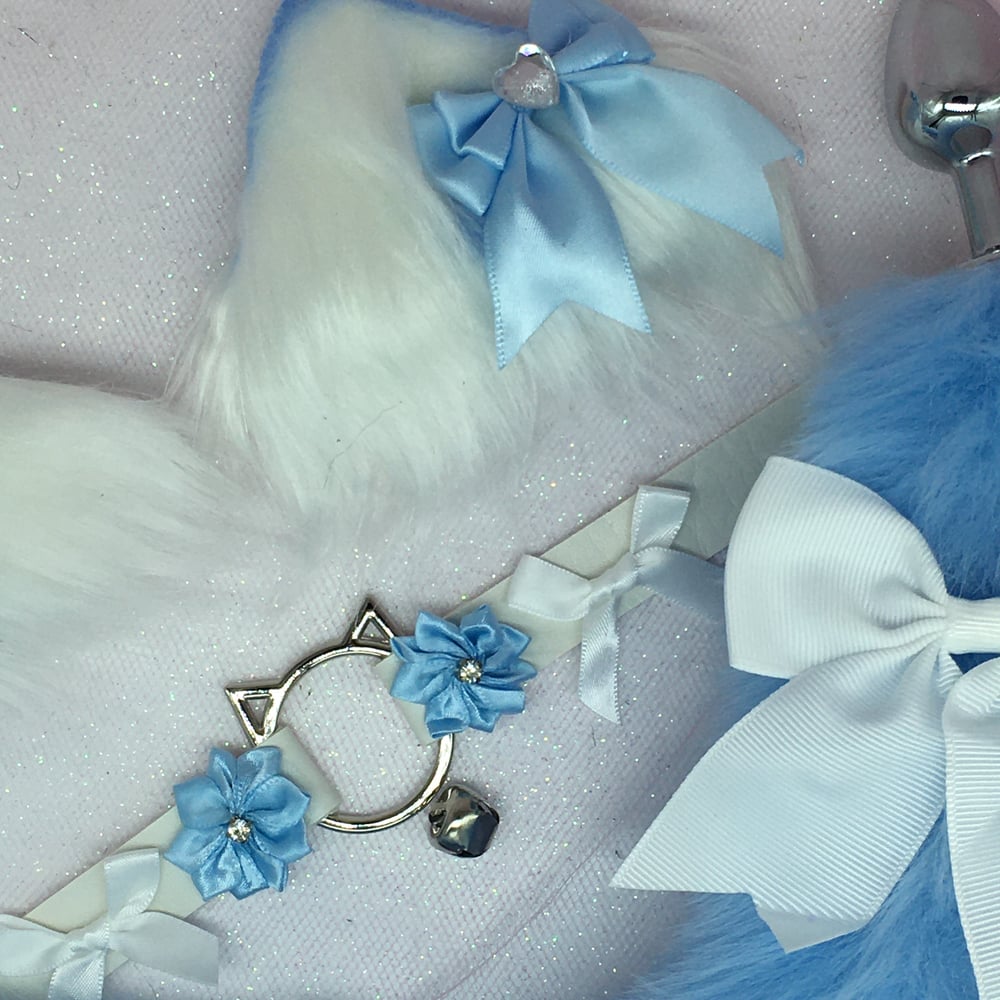 Blue /white Kitten PetPlay Set