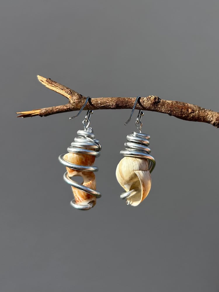 Image of ✧Spiral Shell Earrings