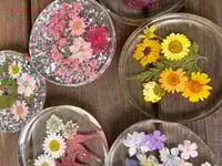 Image 8 of Resin Dried Pressed Flower Coaster