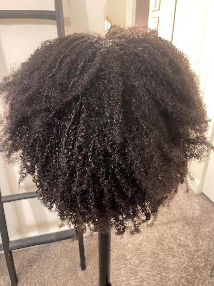 Image of Kinky Curly Lace Front Wig 