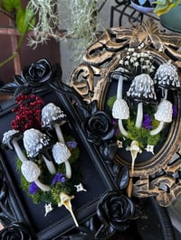 Image 1 of Inky cap frame led