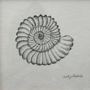 Image 2 of £50 originals - Ammonite, pointillism
