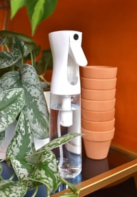 Image 3 of Misting Spray Bottle For Plants 