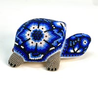 Image 2 of Baby Turtle