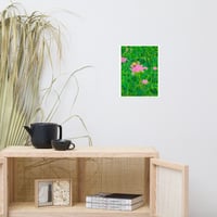 Image 5 of Pink Pollen Collection Poster