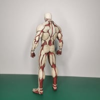 Image of Gigante Corazzato | Shingeki no Kyojin | Attacco dei Giganti 