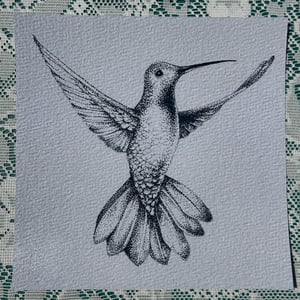 Image of Stippling Hummingbird