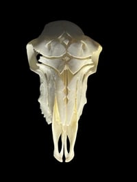 Image 2 of handcarved sheep skull