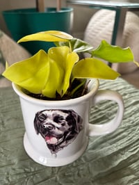 Image 2 of Neon Philodendron in Black Lab Mug 