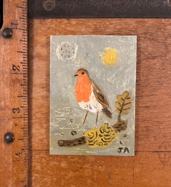 Image of Autumn robin 