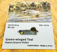 Image 1 of Green-winged Teal - No.157 - UK Birding Pins 