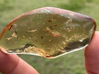 Image 7 of Copal Amber With Preserved Insects #2631