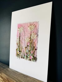 Image 2 of Pink Hedgerow