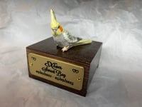 Image 1 of Custom Engraved Cockatiel Bird Mini Keepsake Urn Handpainted To Your Photo Pet Portrait