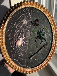 Image 5 of Wicked Collection