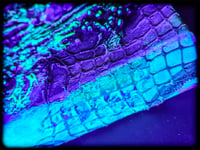Image 5 of NeoDriFT TEXTURE 12X12" UV