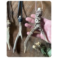 Image 4 of Antler Vial Necklaces 